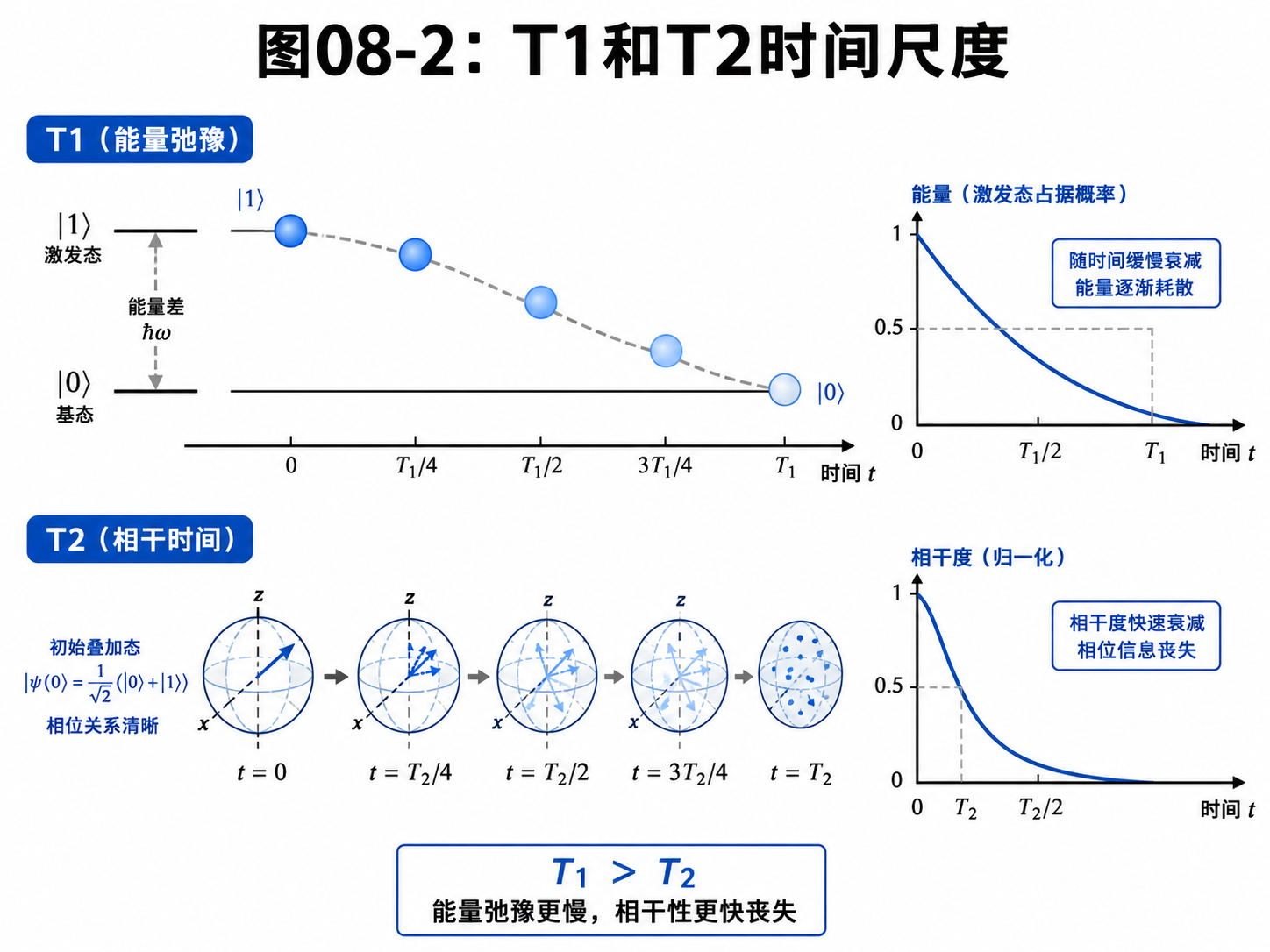 fig08-2-t1-t2-timescale.png