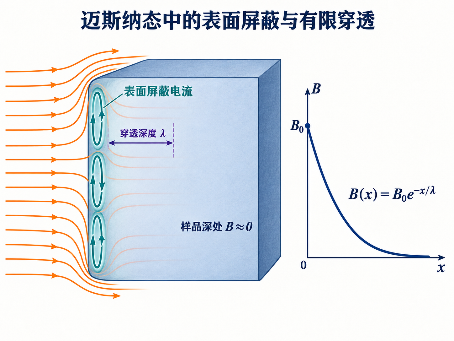 图 02-03 迈斯纳态中的表面屏蔽与有限穿透
