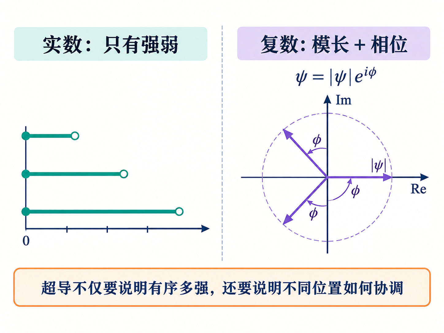 图 05-01 实数序参量缺少了什么