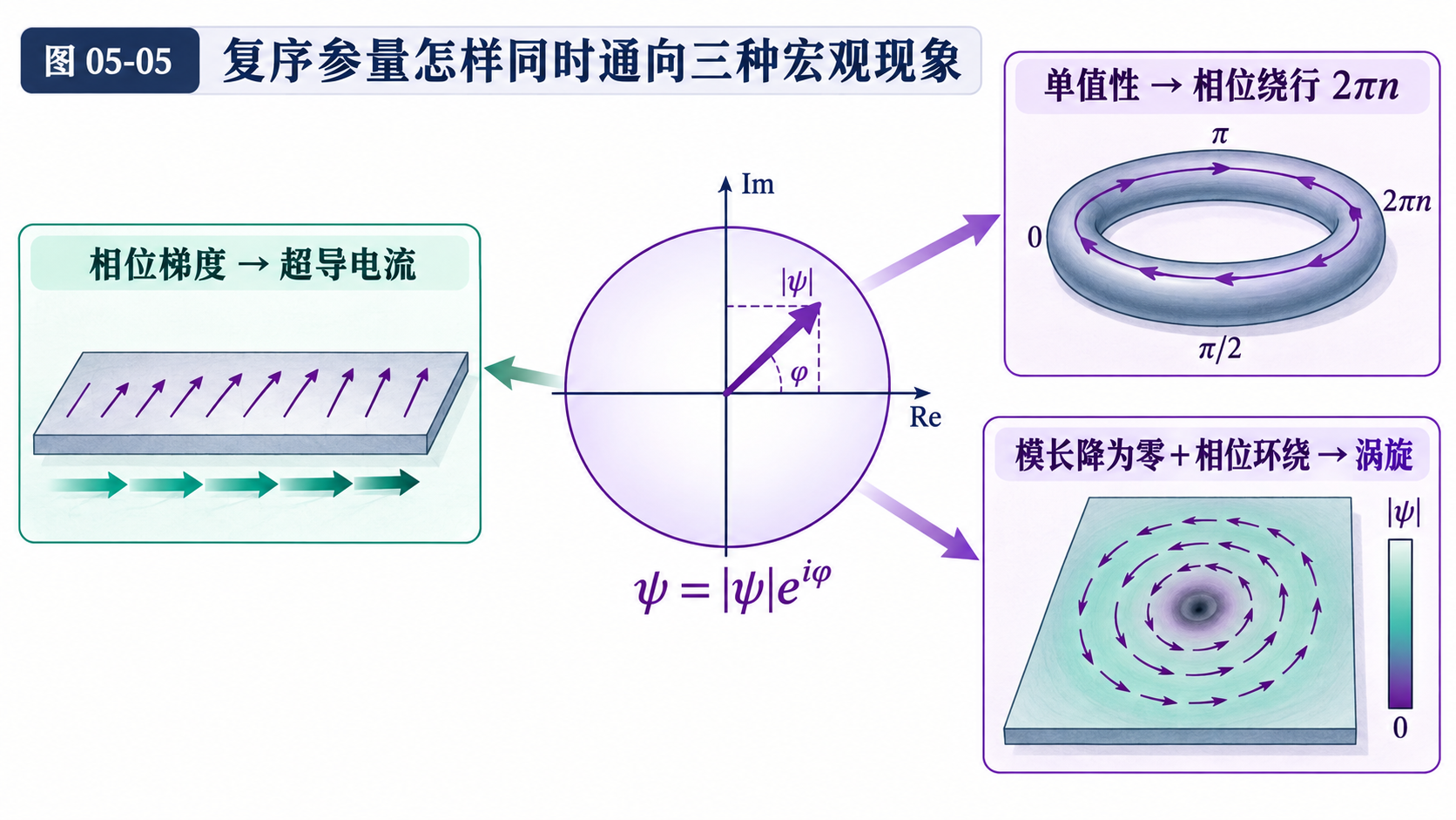 图 05-05 复序参量怎样同时通向三种宏观现象