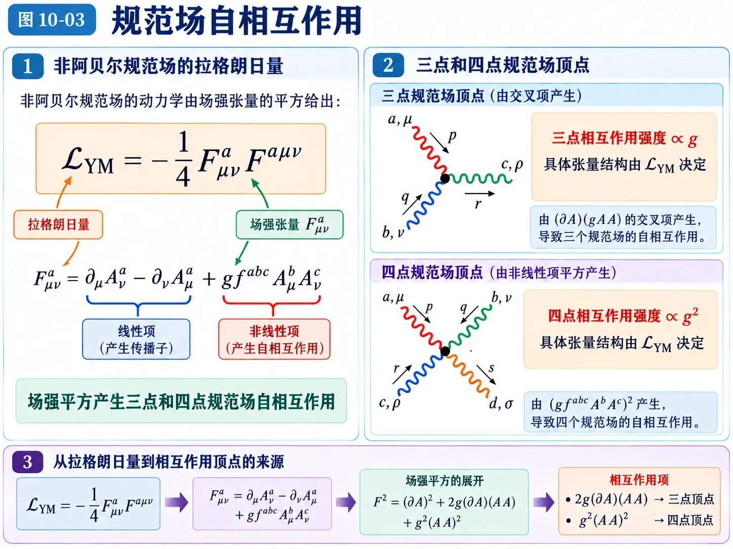 图10-03 规范场自相互作用