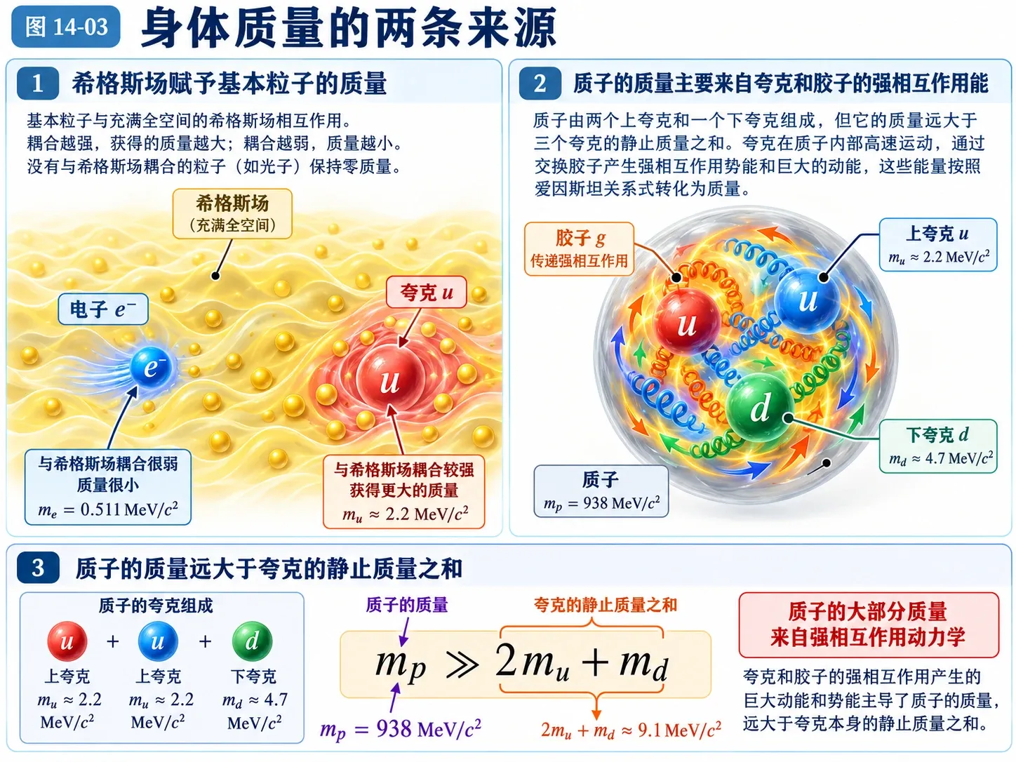 图14-03 身体质量的两条来源