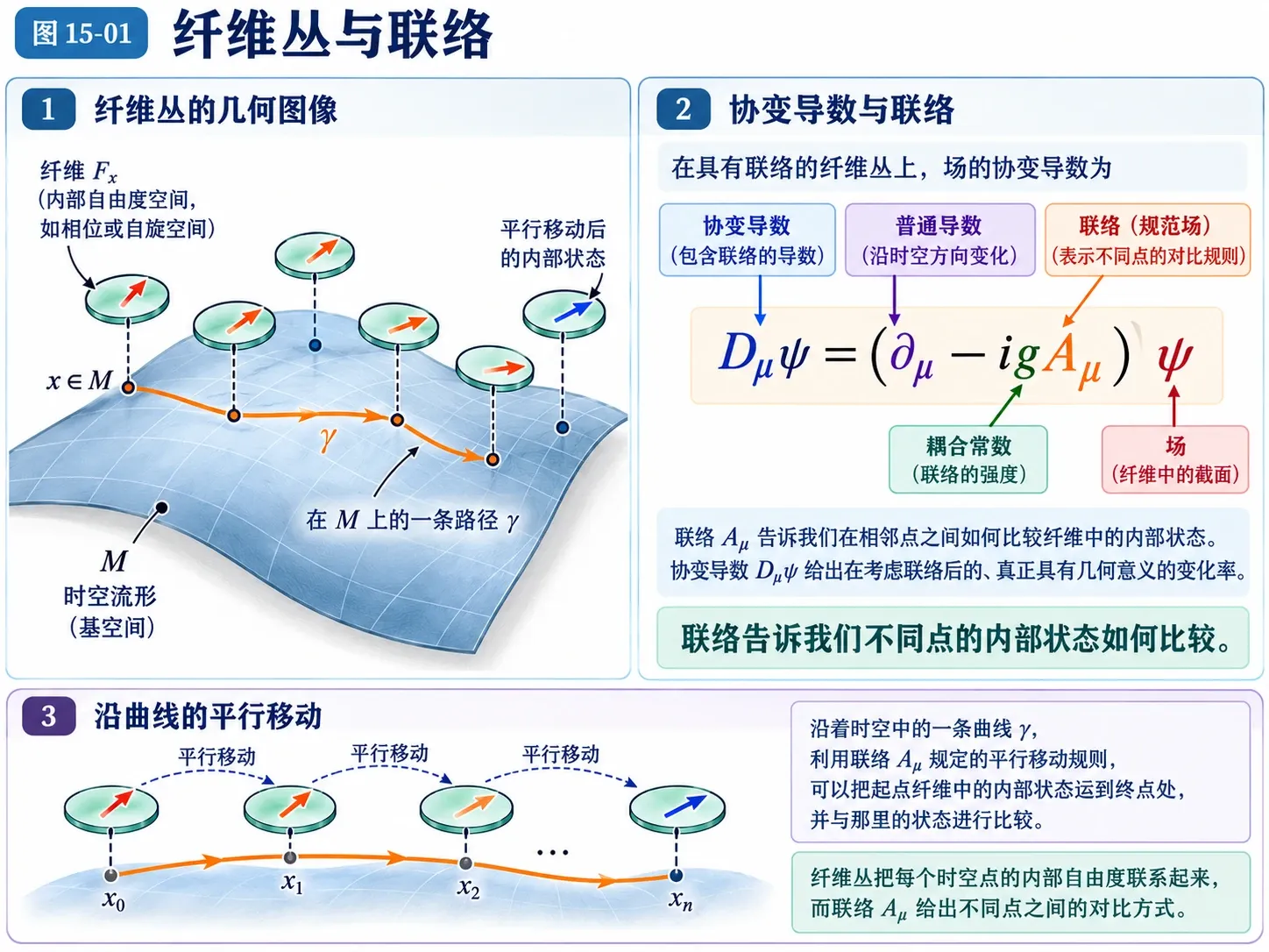 图15-01 纤维丛与联络
