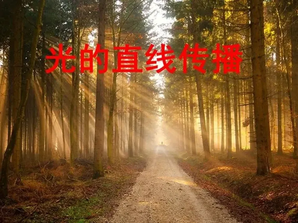 补编图05
