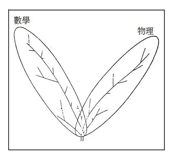 补编图35
